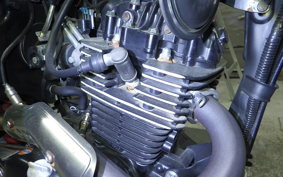 OTHER +UNREGISTERED MODEL by BDS125 2025