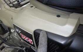 HONDA CT125 HUNTER CUB JA55