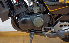 YAMAHA RZ 250 4L3