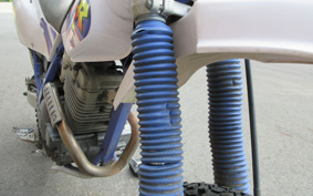 YAMAHA TT250R 4GY