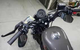HARLEY XL1200X 2019