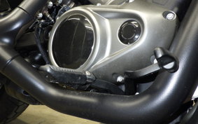 HARLEY RH975S 2024