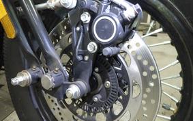 OTHER +UNREGISTERED MODEL by BDS250 2017