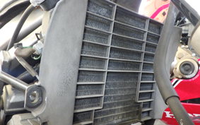 YAMAHA ZEAL 2020 3YX