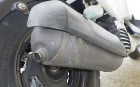 HONDA ZOOMER 2024 AF58