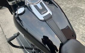 HARLEY FLSB 2019 YMJ