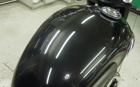 TRIUMPH BONNEVILLE T100 2020
