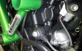 KAWASAKI ZH2 2020 ZRT00K