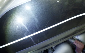 TRIUMPH SPEED TWIN 2019