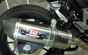 SUZUKI V-STROM 250 A