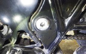 KAWASAKI W800 CAFE 2020 EJ800B