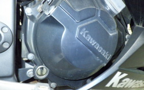 KAWASAKI NINJA 250 ABS EX250L