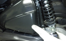 HONDA ZOOMER-X 2020 JF52