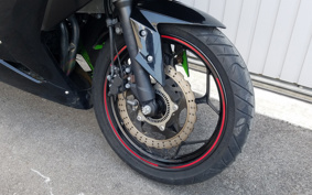 KAWASAKI NINJA 250 EX250L