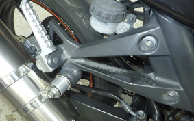 KAWASAKI NINJA 250R 2024 EX250K