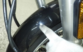 OTHER +DAYTONA125 2006