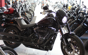 HARLEY  HARLEY FXLRS 2025 YWK