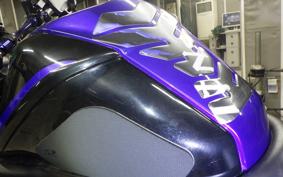 YAMAHA MT-25 RG43J