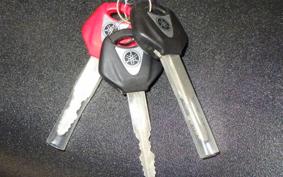 YAMAHA XSR900 GP 2024 RN96J