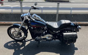 HARLEY FXLR1340 2019 YNJ