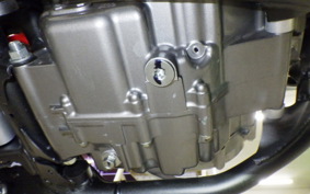 HONDA CRF250L 2019 MD47