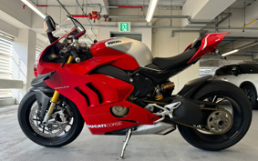 DUCATI  DUCATI PANIGA-REV4R 2019 DA04