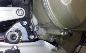 DUCATI ストリート FIGHTER V4SP2 2024