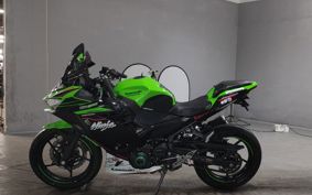 KAWASAKI NINJA 250 EX250P