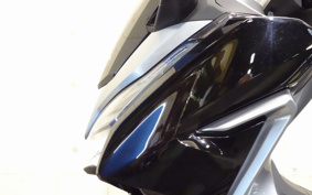 HONDA  FORZA 250 MF13