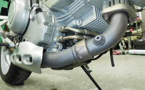 DUCATI MULTISTRADA 1000 DS 2024