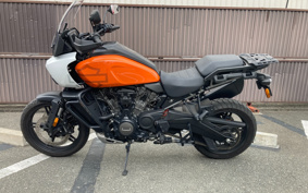 HARLEY PAN AMERICA 1250 SPECIAL 2021 ZES