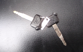 YAMAHA VOX Ltd SA31J