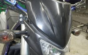 KAWASAKI KLX250D TRACKER X LX250V