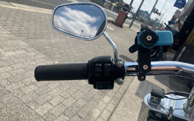 HARLEY FLFBS 2021 YGK