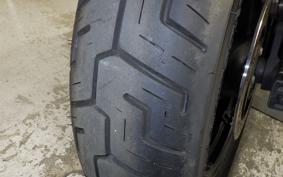HARLEY RH975 2024