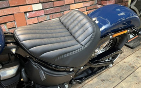 HARLEY FXBB 2018 YJJ