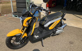 HONDA ZOOMER-X JF38