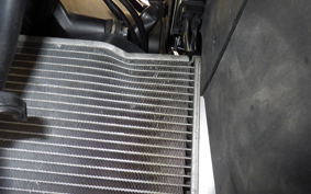 KAWASAKI NINJA 1000 A 2019 ZXT00W