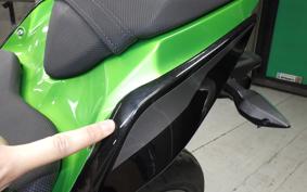 KAWASAKI Z250 Gen.2 2024 EX250Y