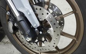 HARLEY FXLRST1920 2025