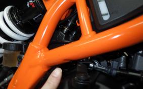 KTM 390 DUKE 2024