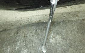 TRIUMPH DAYTONA 675 2009