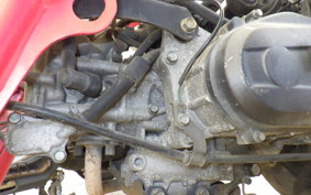 HONDA ZOOMER AF58