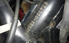KAWASAKI ESTRELLA BJ250A