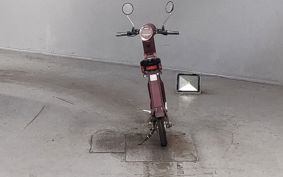 OTHER  BLAZE  SMART EV