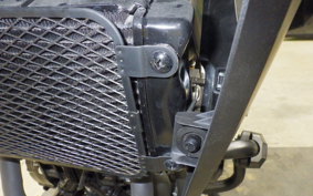 SUZUKI Vｽﾄﾛｰﾑ250A 2011