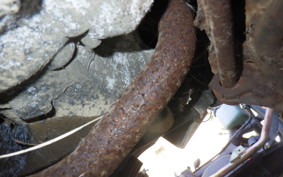 HONDA DIO CESTA AF34