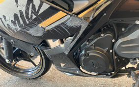 KAWASAKI NINJA 250 EX250P