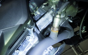 HONDA LEAD 125 2021 JK12