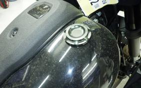 HARLEY FXLRST1920 2024